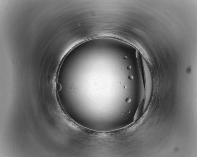 X0000099510814200805221420