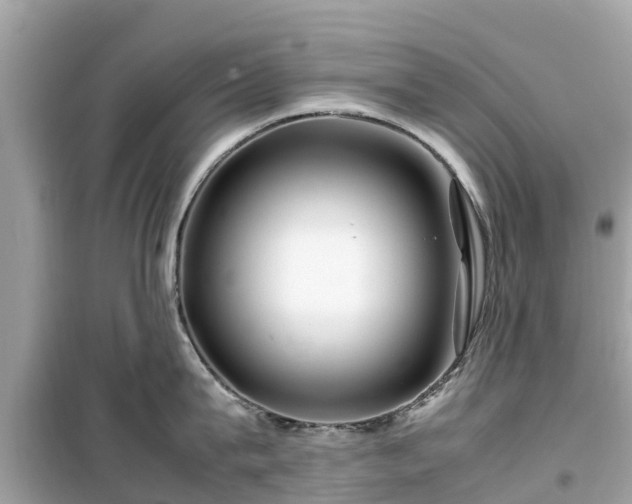 X0000099510815200805221420