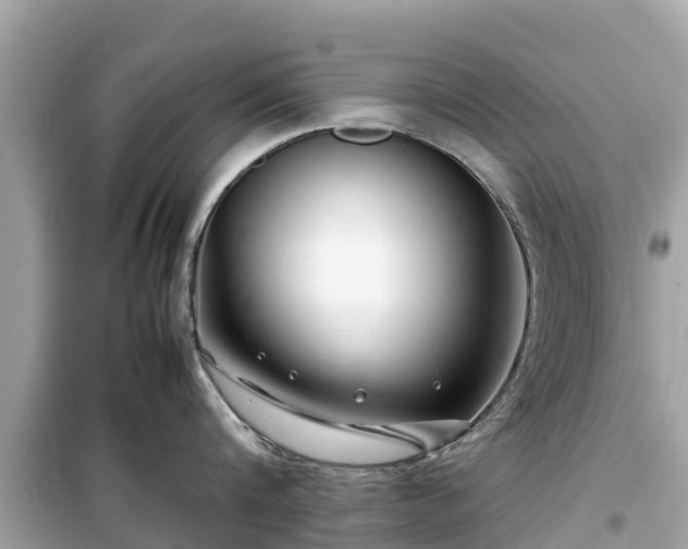 X0000099510816200805221420
