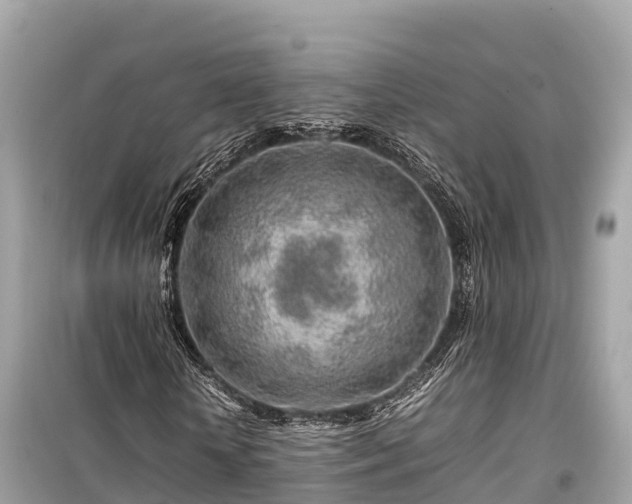 X0000099510818200805221420