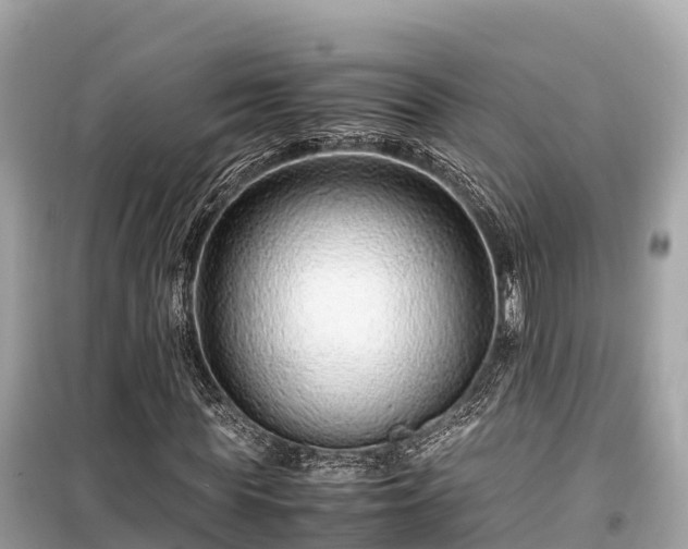 X0000099510819200805221420