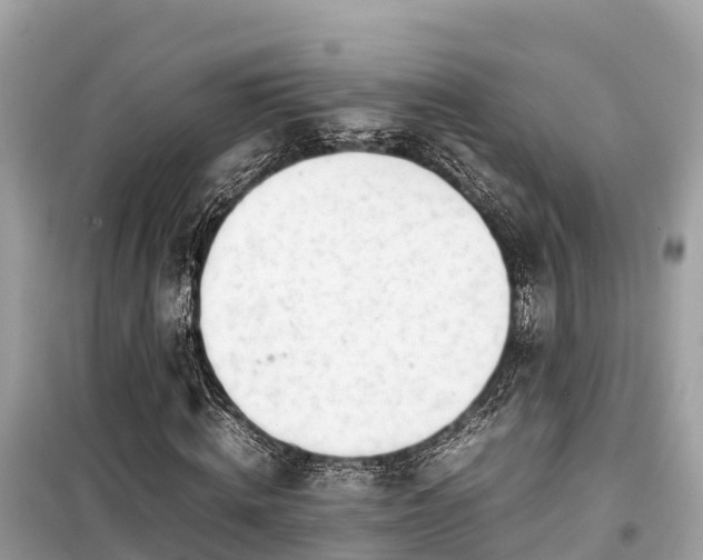 X0000099510820200805221420