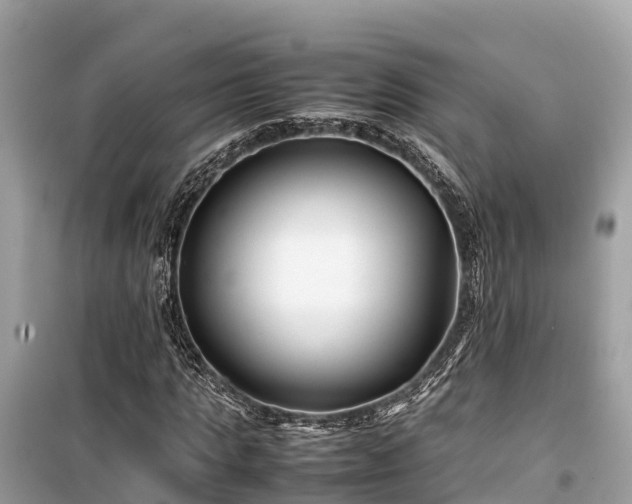X0000099510821200805221420