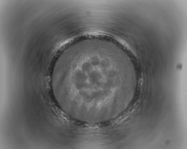 X0000099510822200805221420