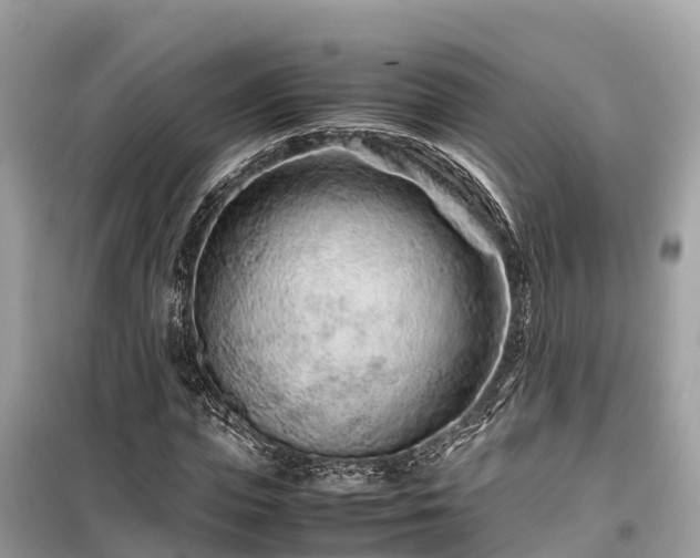 X0000099510823200805221420