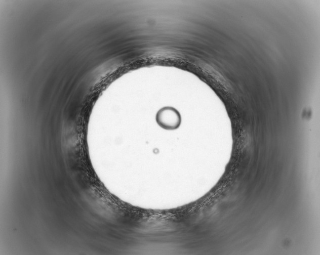 X0000099510824200805221420