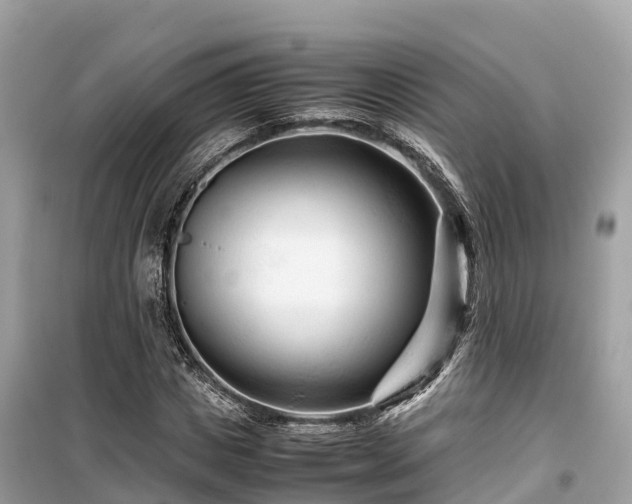 X0000099510825200805221420