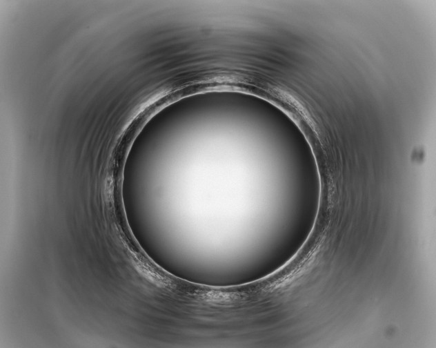 X0000099510827200805221420