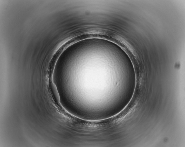 X0000099510829200805221420