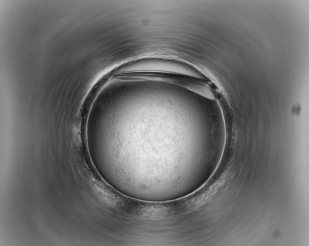 X0000099510830200805221420