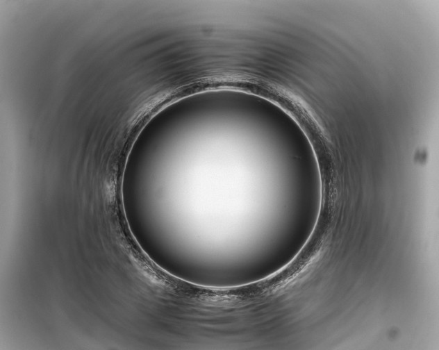 X0000099510833200805221420