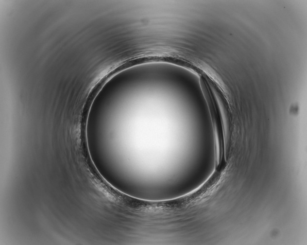 X0000099510834200805221420