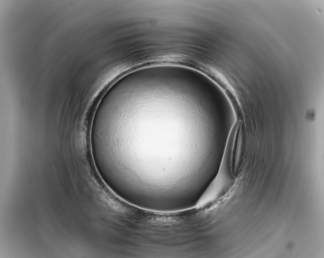 X0000099510835200805221420