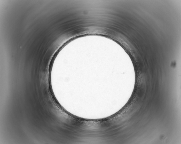 X0000099510836200805221420