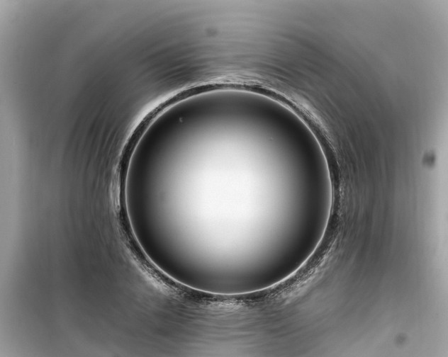 X0000099510838200805221420