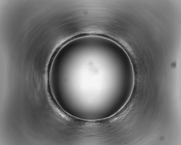 X0000099510840200805221420
