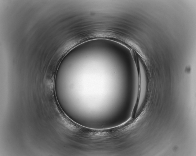 X0000099510841200805221420