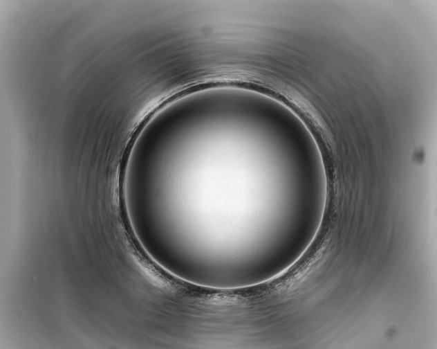 X0000099510842200805221420