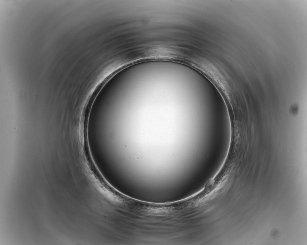 X0000099510843200805221420