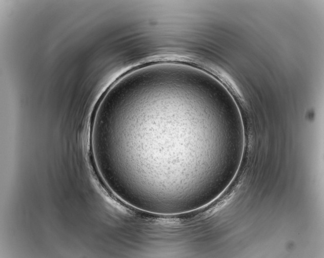 X0000099510844200805221420