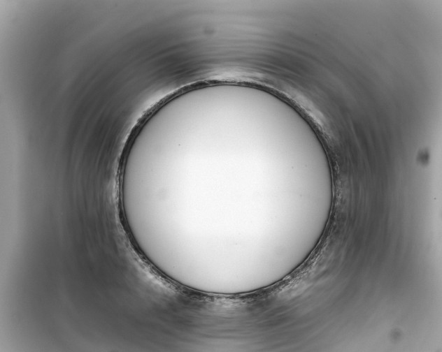 X0000099510848200805221420