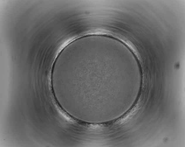 X0000099510850200805221420