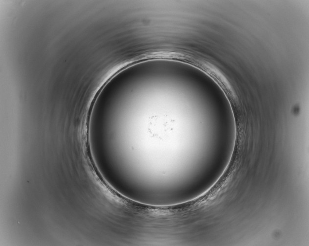 X0000099510852200805221420