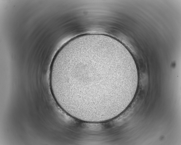 X0000099510856200805221420