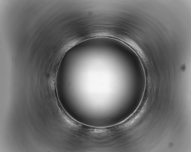 X0000099510857200805221420