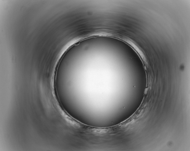 X0000099510861200805221420