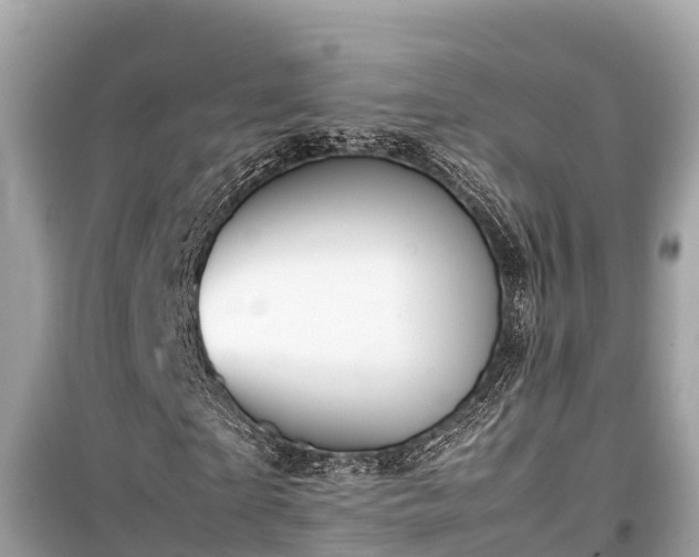 X0000099510865200805221420
