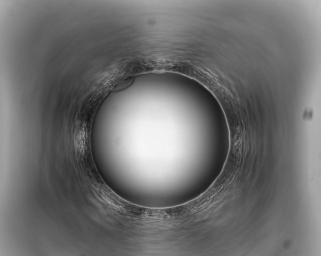 X0000099510866200805221420