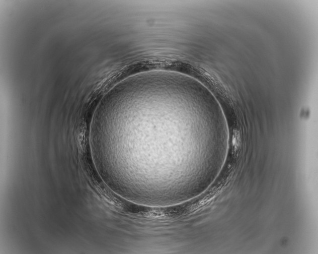 X0000099510867200805221420