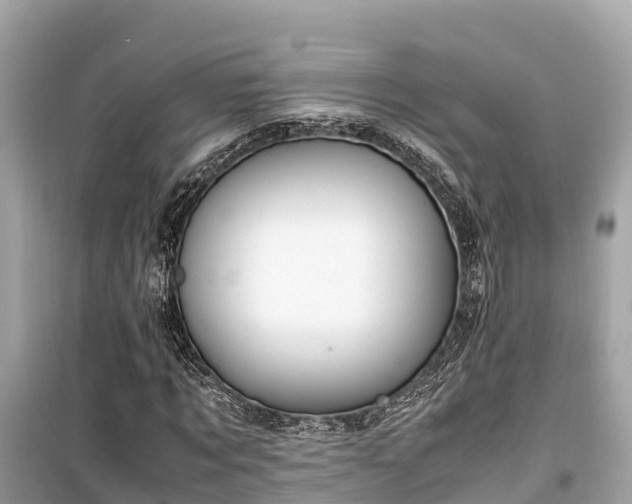 X0000099510869200805221420
