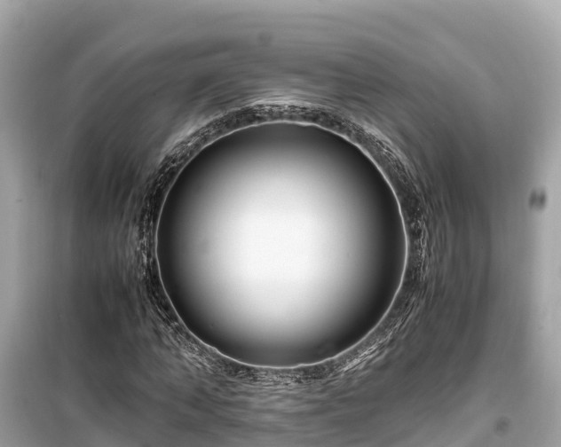 X0000099510870200805221420