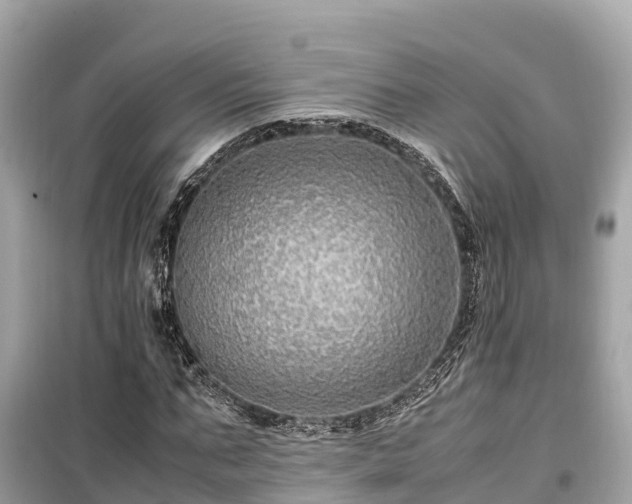 X0000099510871200805221420