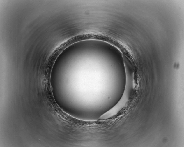 X0000099510872200805221420