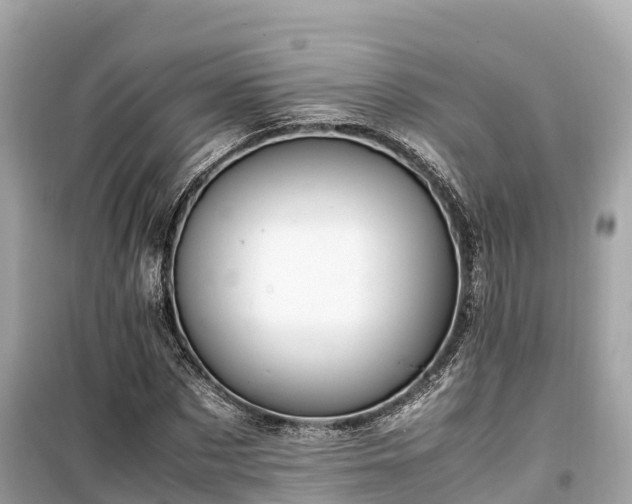 X0000099510873200805221419