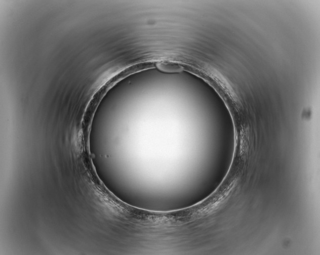 X0000099510876200805221419