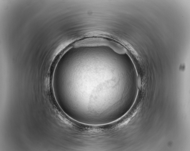X0000099510877200805221419