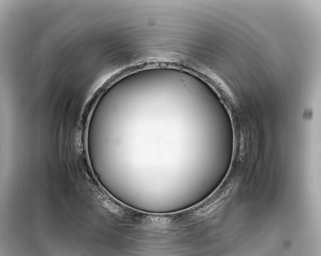 X0000099510878200805221419