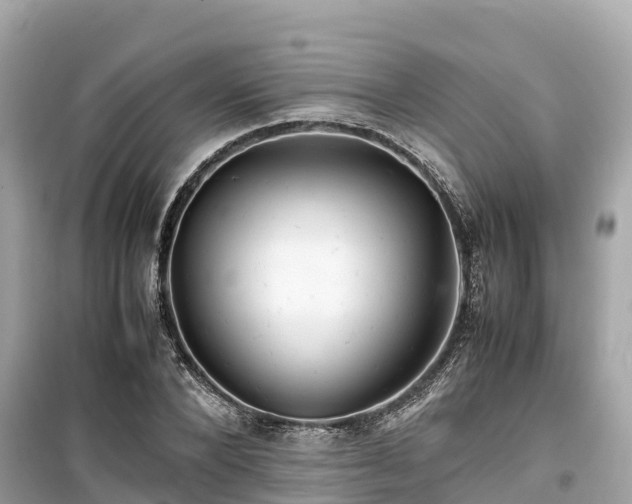 X0000099510880200805221419