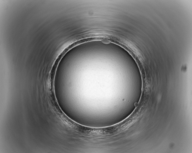 X0000099510883200805221419