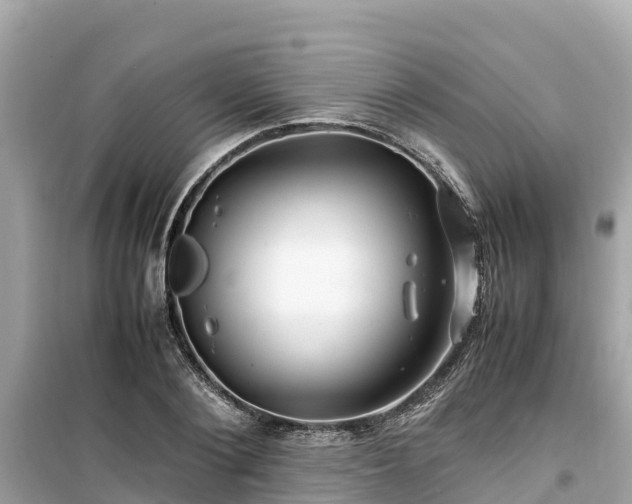 X0000099510884200805221419