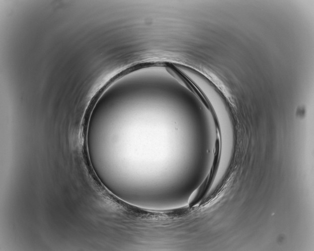 X0000099510885200805221419