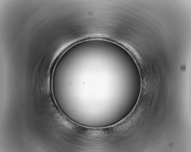 X0000099510886200805221419
