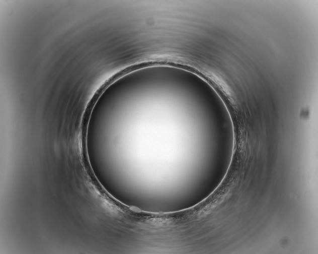 X0000099510888200805221419