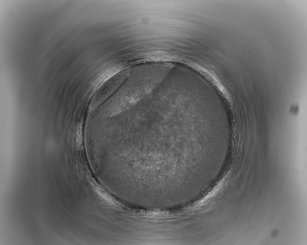 X0000099510889200805221419