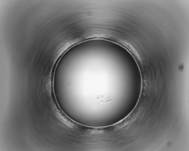 X0000099510890200805221419