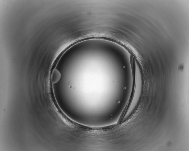 X0000099510894200805221419